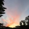 asher_james11