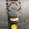 rayyn005
