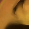 rara__w