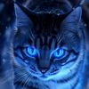 meong96