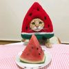 watermelon_05084