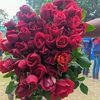 rakib__hasan__123