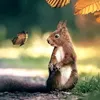 sóc hunter 🐿️