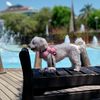 travellove675