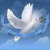 user849770042353