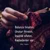 saribelgin0