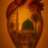 muhammad.waqas617
