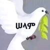 user82030100179580