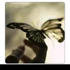 flordeliz7799