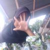 trina_dinostet