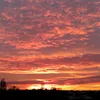 ege_490