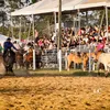 murilo.medeiros1