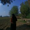 shrouk25251
