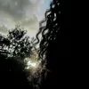 luci_2.8