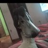 user586noencontrado