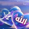 saharzafa