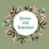 sirvan_gul_buketleri__