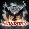 mandipin0