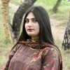 zarish.zaib