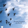 nona_alharby