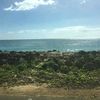 theislandman57