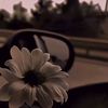 kn_nk_20
