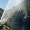 felix_37884