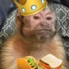 el.insano83981