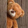 mummybear.76