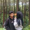 najmi_via
