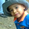 greix_zlx