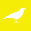 yellowcrowvs