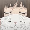 eelize_