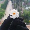 jannatakther_0