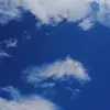 moscovtiktok392