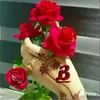 user3331121473234