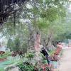 nguyennam242987
