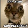 pratama.sandi