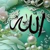 user8683204205203