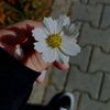 sanaislam498