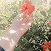 priyaangel50