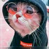 kanch_janu7