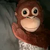 mirrorimy