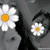 Md,Tamin