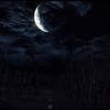 darkdream008