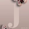 al.jjoury4
