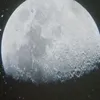 genekermanofficial