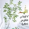user3563877770054