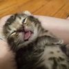 xakiww