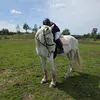 bigtomsbitontheside